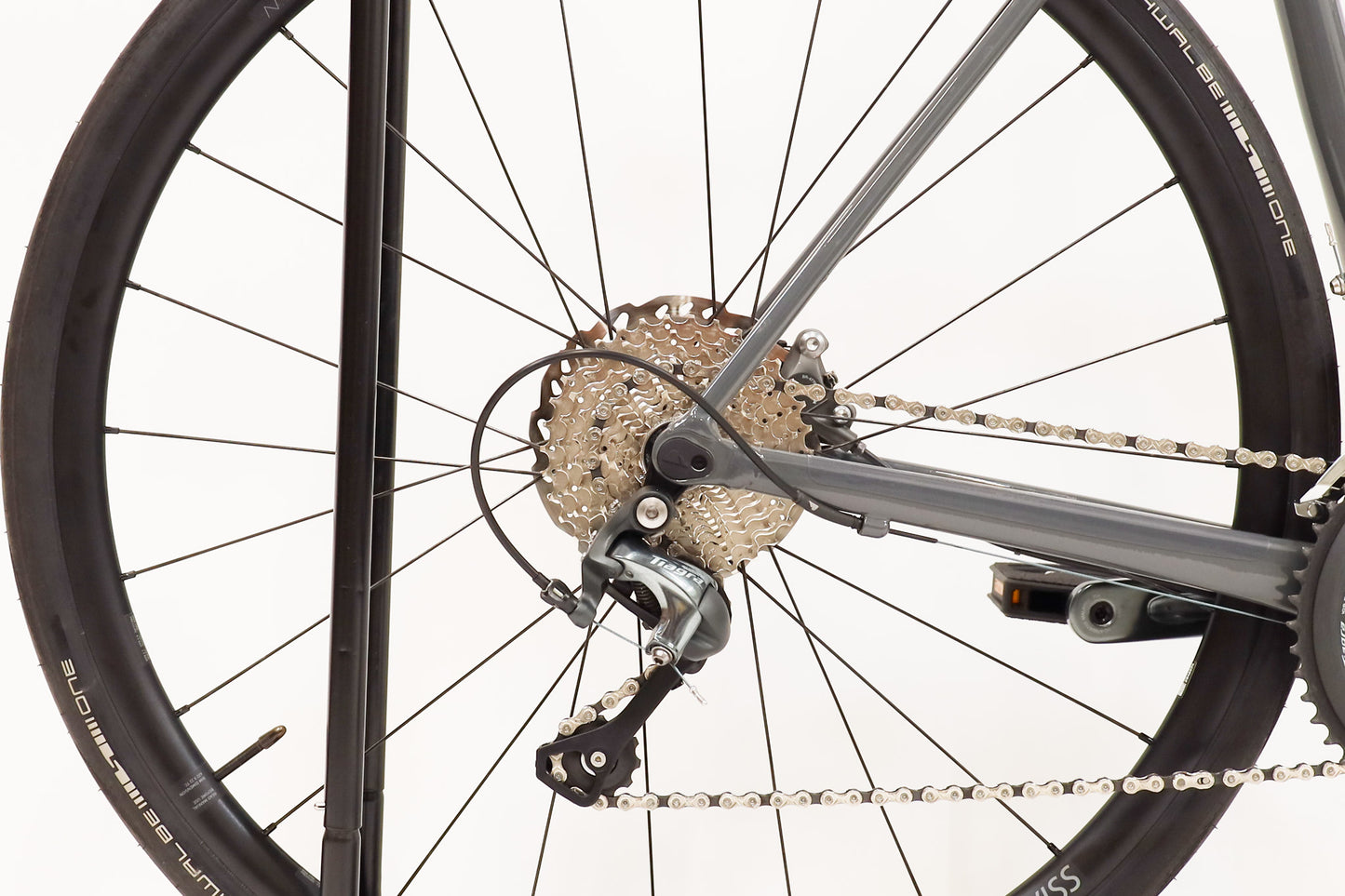Endurace 6